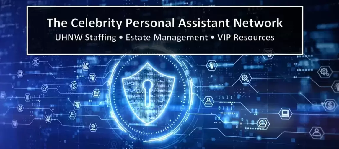 VIP security